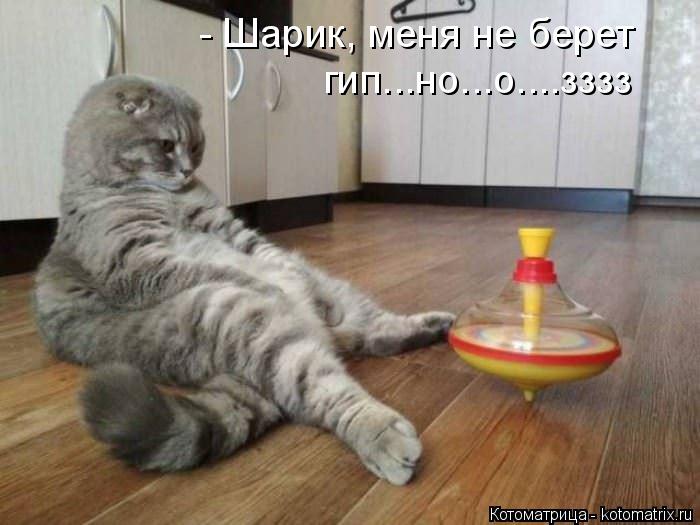 - Шарик, меня не берет гип...но...о....зззз... Котоматрица: - Шарик, меня не берет гип...но...о....зззз