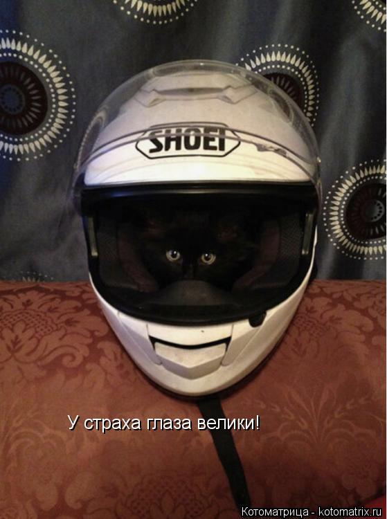 У страха глаза велики!... Котоматрица: У страха глаза велики!