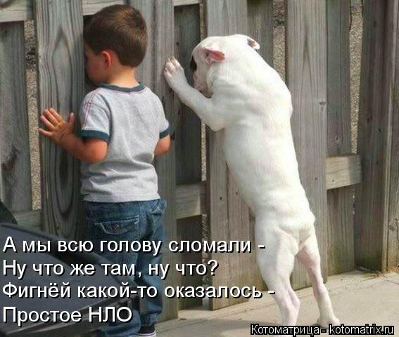 А мы всю голову сломали - Ну что же там, ну что? Фигнёй какой-то оказалось - Простое НЛО... Котоматрица: А мы всю голову сломали - Ну что же там, ну что? Фигнёй какой-то оказалось - Простое НЛО