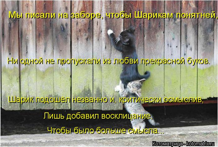 Мы писали на заборе, чтобы Шарикам понятней, Ни одной не пропускали из любви прекрасной буков. Шарик ... Котоматрица: Мы писали на заборе, чтобы Шарикам понятней, Ни одной не пропускали из любви прекрасной буков. Шарик подошёл незванно и, критически осмысли?