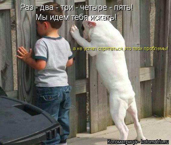 Раз - два - три - четыре - пять! Мы идем тебя искать! ...а не успел спрятаться,это твои проблемы!... Котоматрица: Раз - два - три - четыре - пять! Мы идем тебя искать! ...а не успел спрятаться,это твои проблемы!