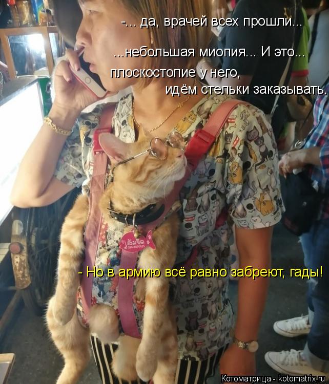 ...небольшая миопия... И это... плоскостопие у него, идём стельки заказывать. -... да, врачей всех пр... Котоматрица: ...небольшая миопия... И это... плоскостопие у него, идём стельки заказывать. -... да, врачей всех прошли... - Но в армию всё равно забреют, гады!