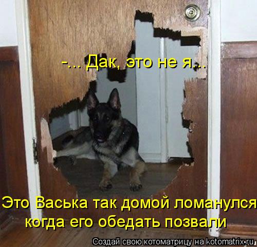 -... Дак, это не я... Это Васька так домой ломанулся, когда его обедать позвали... Котоматрица: -... Дак, это не я... Это Васька так домой ломанулся, когда его обедать позвали