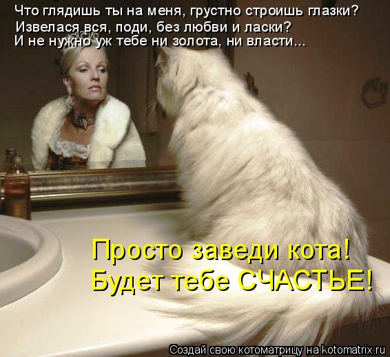 Что глядишь ты на меня, грустно строишь глазки? Извелася вся, поди, без любви и ласки? И не нужно уж ... Котоматрица: Что глядишь ты на меня, грустно строишь глазки? Извелася вся, поди, без любви и ласки? И не нужно уж тебе ни золота, ни власти... Просто заведи к