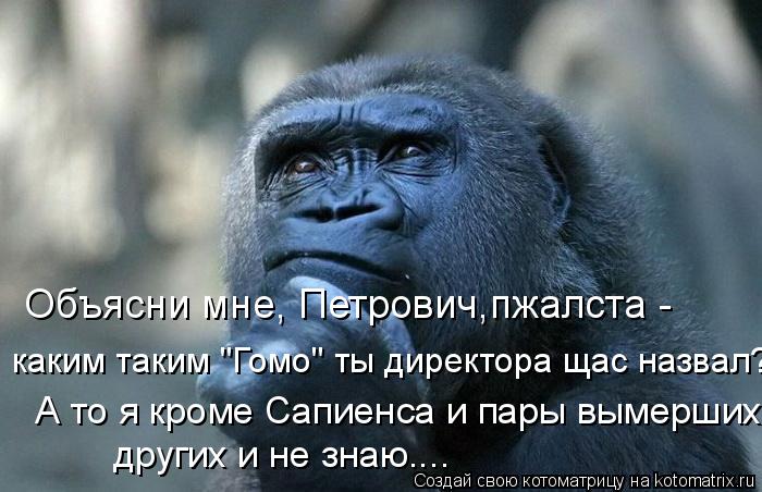Объясни мне, Петрович,пжалста - каким таким "Гомо" ты директора щас назвал? А то я кроме Сапиенса и ... Котоматрица: Объясни мне, Петрович,пжалста - каким таким "Гомо" ты директора щас назвал? А то я кроме Сапиенса и пары вымерших, других и не знаю....