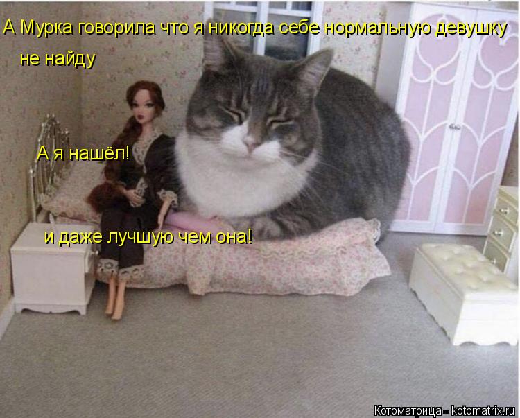 Котоматрица: А Мурка говорила что я никогда себе нормальную девушку не найду А я нашёл! и даже лучшую чем она!