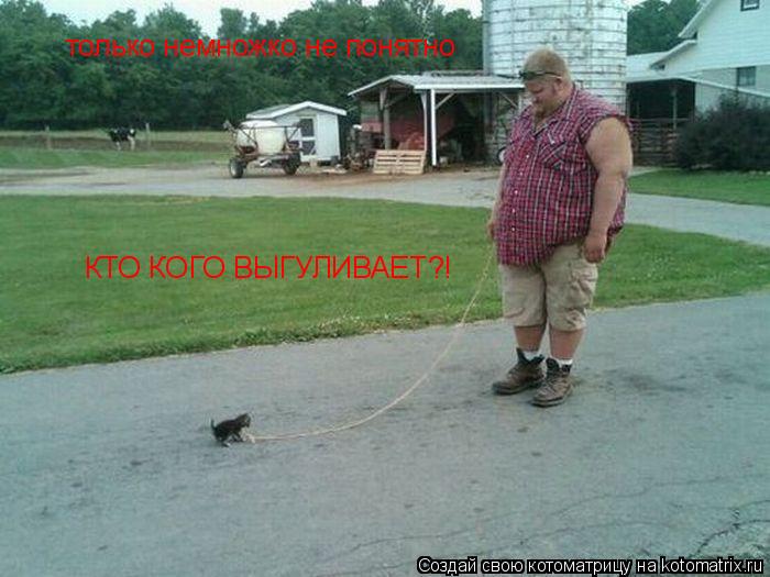 Котоматрица: только немножко не понятно КТО КОГО ВЫГУЛИВАЕТ?!
