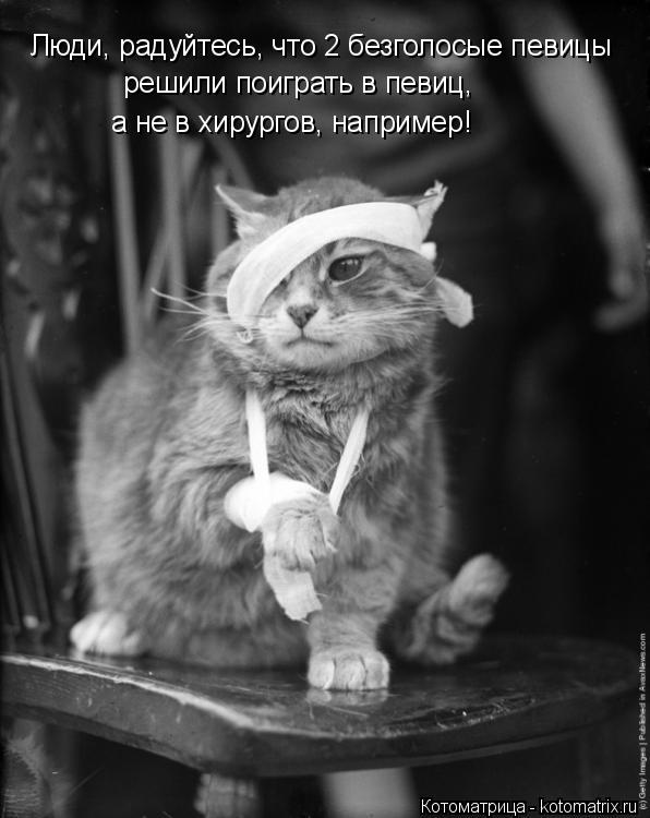 Котоматрица: Люди, радуйтесь, что 2 безголосые певицы  решили поиграть в певиц,  а не в хирургов, например!