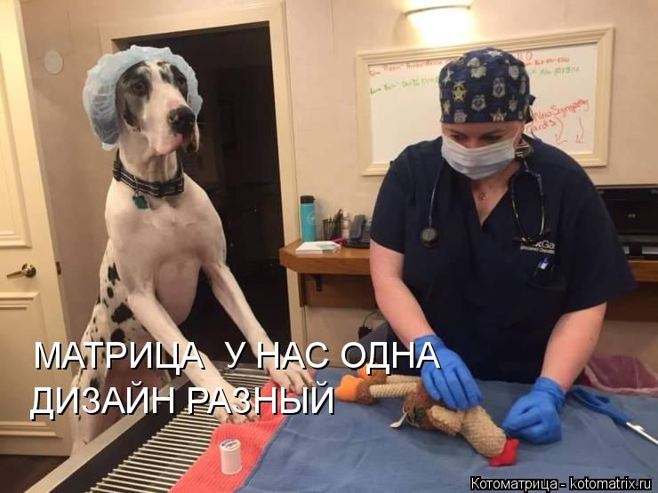 МАТРИЦА У НАС ОДНА ДИЗАЙН РАЗНЫЙ... Котоматрица: МАТРИЦА У НАС ОДНА ДИЗАЙН РАЗНЫЙ