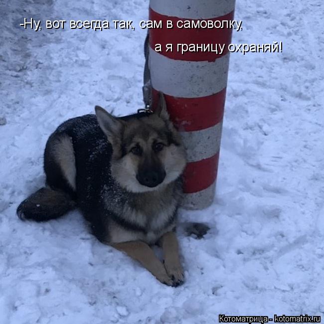 -Ну, вот всегда так, сам в самоволку, а я границу охраняй!... Котоматрица: -Ну, вот всегда так, сам в самоволку, а я границу охраняй!