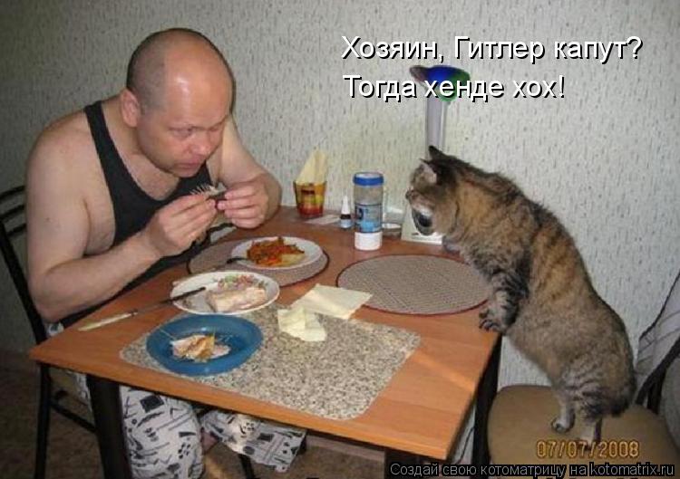 Хозяин, Гитлер капут? Тогда хенде хох!... Котоматрица: Хозяин, Гитлер капут? Тогда хенде хох!