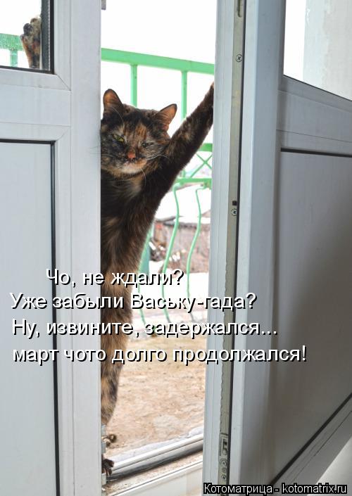 Котоматрица: Чо, не ждали?  Уже забыли Ваську-гада? Ну, извините, задержался... март чото долго продолжался!