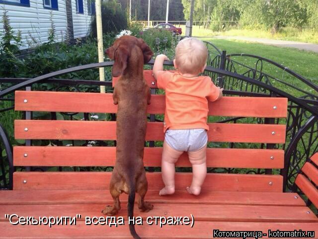 Котоматрица: "Секьюрити" всегда на страже)