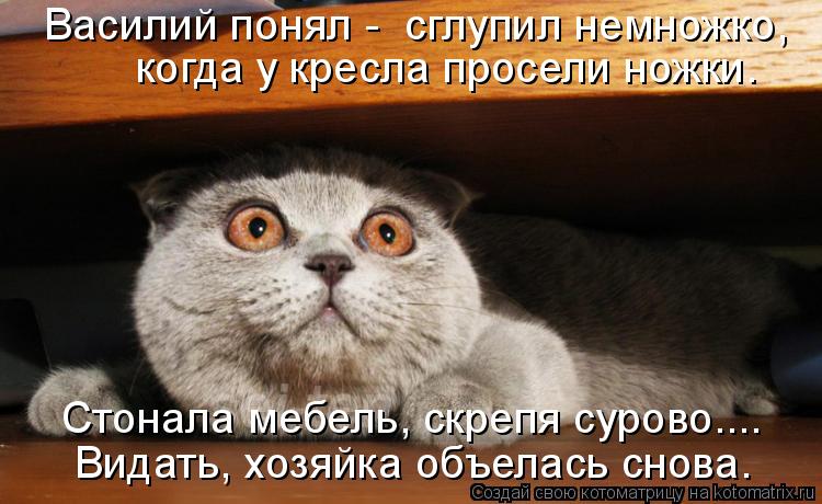 Василий понял - сглупил немножко, когда у кресла просели ножки. Стонала мебель, скрепя сурово.... Ви... Котоматрица: Василий понял - сглупил немножко, когда у кресла просели ножки. Стонала мебель, скрепя сурово.... Видать, хозяйка объелась снова.