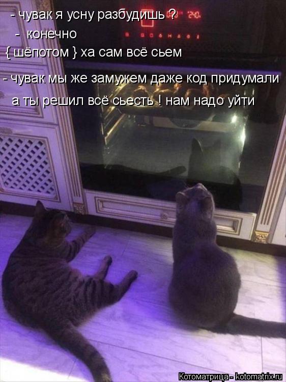 Котоматрица: - чувак я усну разбудишь ?   -  конечно  { шёпотом } ха сам всё сьем                    - чувак мы же замужем даже код придумали а ты решил всё сьесть ! нам ?