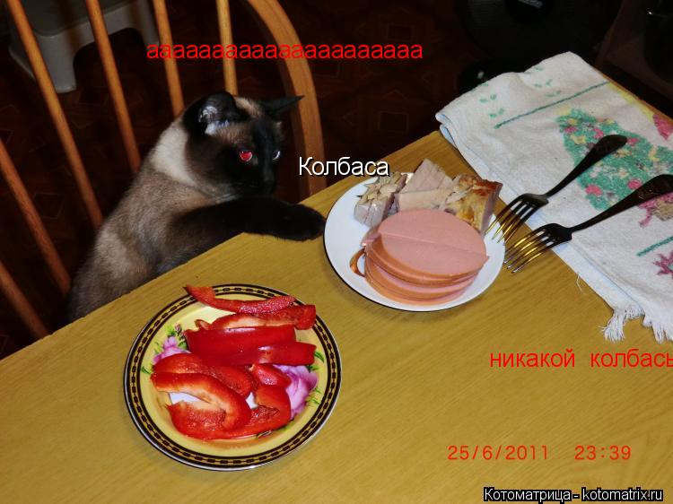 Колбаса никакой колбасы ааааааааааааааааааааа... Котоматрица: Колбаса никакой колбасы ааааааааааааааааааааа