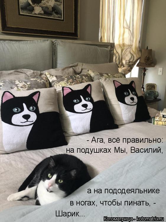 - Ага, всё правильно: на подушках Мы, Василий, а на пододеяльнике в ногах, чтобы пинать, - Шарик...... Котоматрица: - Ага, всё правильно: на подушках Мы, Василий, а на пододеяльнике в ногах, чтобы пинать, - Шарик...