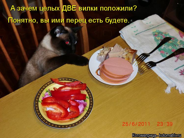 Котоматрица: А зачем целых ДВЕ вилки положили? Понятно, вы ими перец есть будете.
