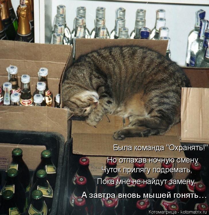Но отпахав ночную смену, Чуток прилягу подремать, Пока мне не найдут замену. А завтра вновь мышей гон... Котоматрица: Но отпахав ночную смену, Чуток прилягу подремать, Пока мне не найдут замену. А завтра вновь мышей гонять… Была команда "Охранять!"