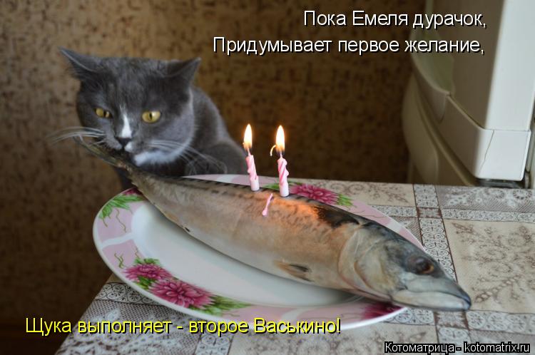 Котоматрица: Пока Емеля дурачок,  Придумывает первое желание, Щука выполняет - второе Васькино!
