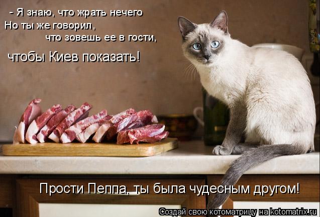 Котоматрица: - Я знаю, что жрать нечего Но ты же говорил,  что зовешь ее в гости, чтобы Киев показать! Прости Пеппа, ты была чудесным другом!