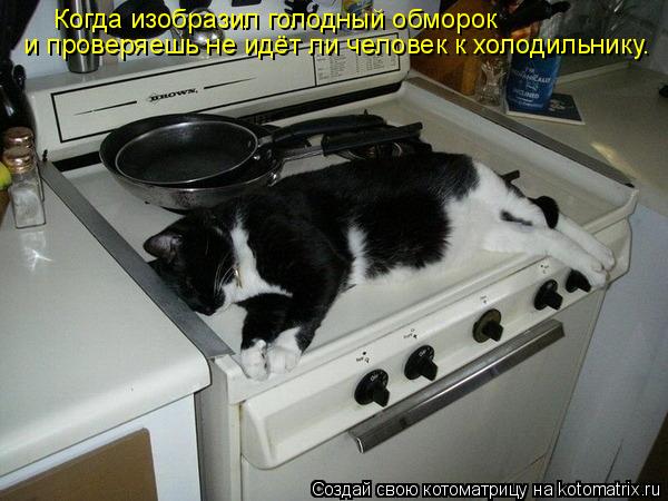 Когда изобразил голодный обморок и проверяешь не идёт ли человек к холодильнику.... Котоматрица: Когда изобразил голодный обморок и проверяешь не идёт ли человек к холодильнику.