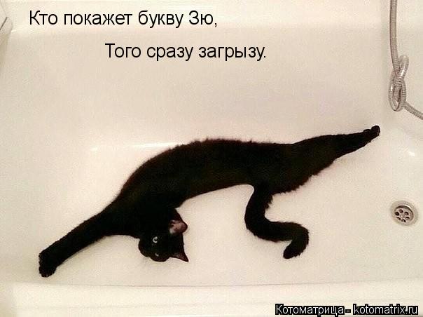 Кто покажет букву Зю, Того сразу загрызу.... Котоматрица: Кто покажет букву Зю, Того сразу загрызу.
