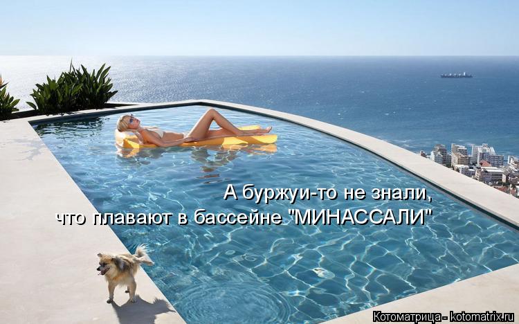 А буржуи-то не знали, что плавают в бассейне "МИНАССАЛИ"... Котоматрица: А буржуи-то не знали, что плавают в бассейне "МИНАССАЛИ"