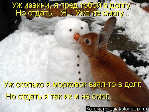 Уж извини, я пред тобой в долгу, Но отдать... Я... Уже не смогу... Уж сколько я морковок взял-то в до... Котоматрица: Уж извини, я пред тобой в долгу, Но отдать... Я... Уже не смогу... Уж сколько я морковок взял-то в долг, Но отдать я так их и не смог...