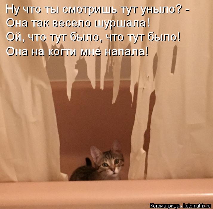 Ну что ты смотришь тут уныло? - Она так весело шуршала! Ой, что тут было, что тут было! Она на когти ... Котоматрица: Ну что ты смотришь тут уныло? - Она так весело шуршала! Ой, что тут было, что тут было! Она на когти мне напала!