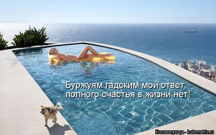 Буржуям гадским мой ответ: полного счастья в жизни нет!... Котоматрица: Буржуям гадским мой ответ: полного счастья в жизни нет!