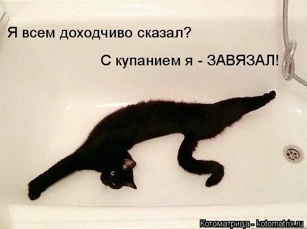 Котоматрица: Я всем доходчиво сказал? С купанием я - ЗАВЯЗАЛ!