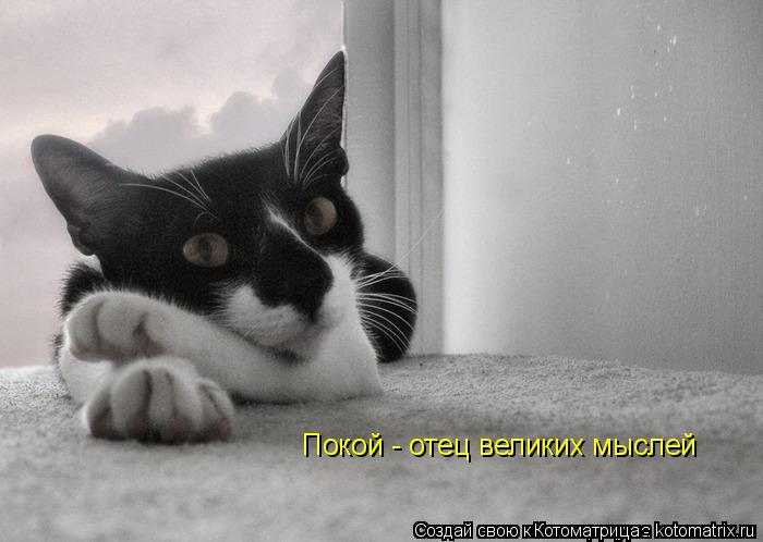Покой - отец великих мыслей... Котоматрица: Покой - отец великих мыслей