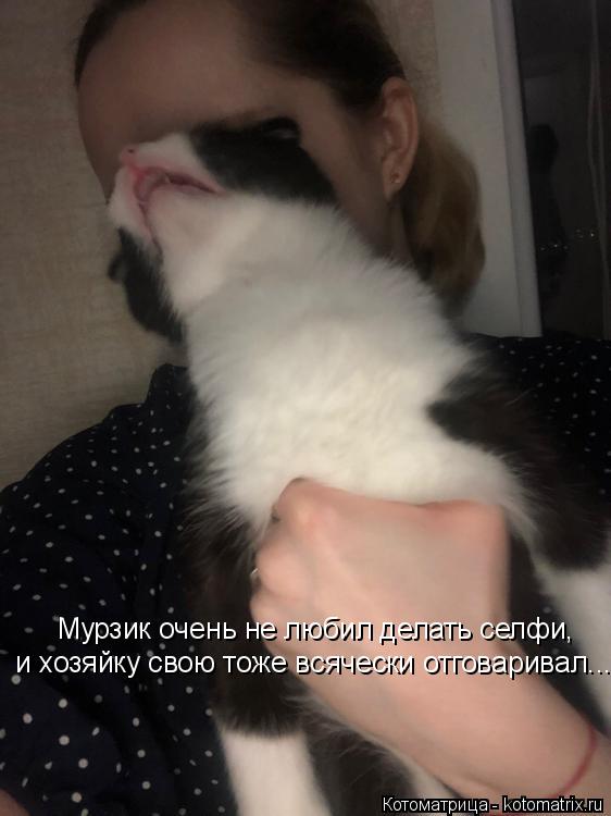 Мурзик очень не любил делать селфи, и хозяйку свою тоже всячески отговаривал...... Котоматрица: Мурзик очень не любил делать селфи, и хозяйку свою тоже всячески отговаривал...