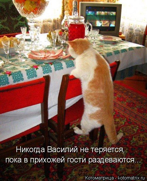 Никогда Василий не теряется, пока в прихожей гости раздеваются...... Котоматрица: Никогда Василий не теряется, пока в прихожей гости раздеваются...