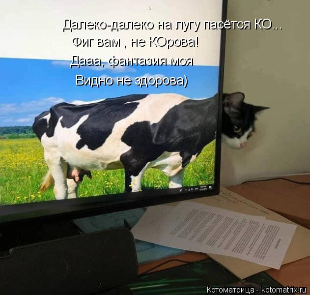Далеко-далеко на лугу пасётся КО... Фиг вам , не КОрова! Дааа, фантазия моя Видно не здорова)... Котоматрица: Далеко-далеко на лугу пасётся КО... Фиг вам , не КОрова! Дааа, фантазия моя Видно не здорова)