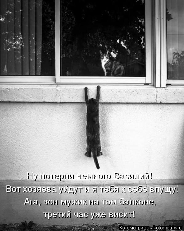 Котоматрица: Вот хозяева уйдут и я тебя к себе впущу! Ну потерпи немного Василий! Ага, вон мужик на том балконе, третий час уже висит!