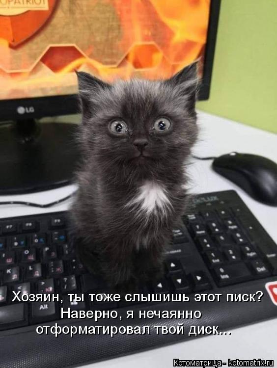 Котоматрица: Хозяин, ты тоже слышишь этот писк? Наверно, я нечаянно отформатировал твой диск...