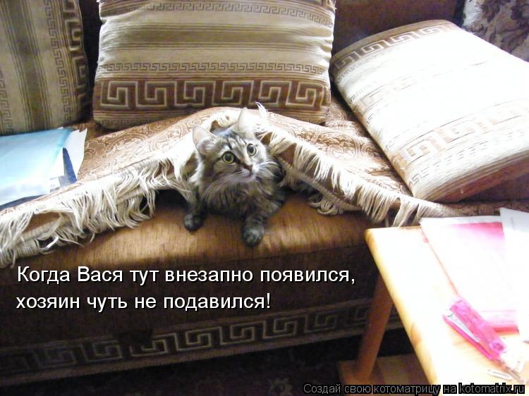 Котоматрица: Когда Вася тут внезапно появился,  хозяин чуть не подавился!
