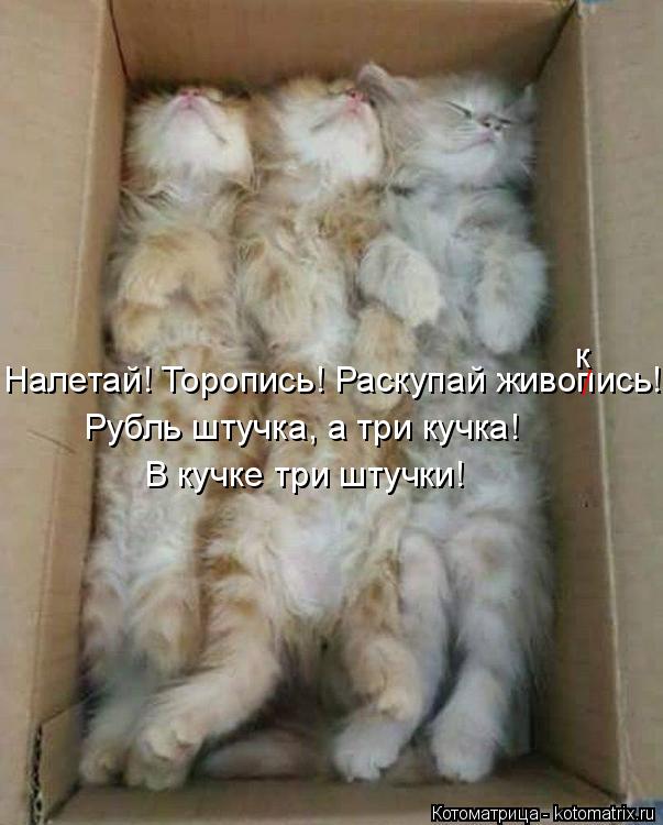 Котоматрица: Налетай! Торопись! Раскупай живопись! Рубль штучка, а три кучка! В кучке три штучки! / к