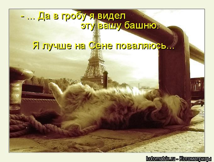 - ... Да в гробу я видел эту вашу башню. Я лучше на Сене поваляюсь...... Котоматрица: - ... Да в гробу я видел эту вашу башню. Я лучше на Сене поваляюсь...