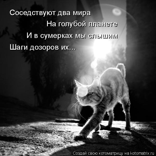 Соседствуют два мира На голубой планете И в сумерках мы слышим Шаги дозоров их...... Котоматрица: Соседствуют два мира На голубой планете И в сумерках мы слышим Шаги дозоров их...