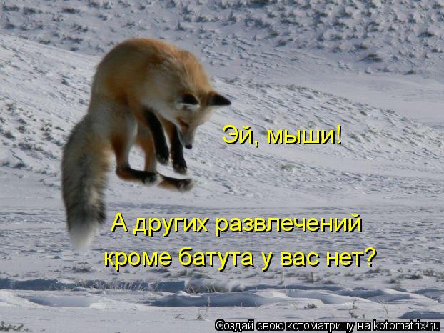 Эй, мыши! А других развлечений кроме батута у вас нет?... Котоматрица: Эй, мыши! А других развлечений кроме батута у вас нет?