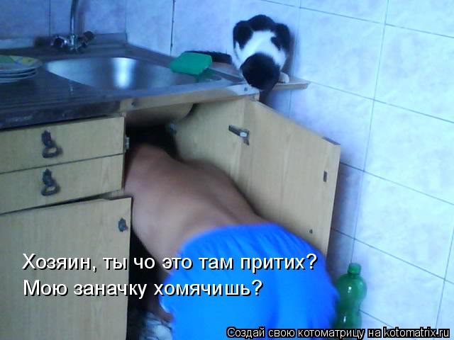 Хозяин, ты чо это там притих? Мою заначку хомячишь?... Котоматрица: Хозяин, ты чо это там притих? Мою заначку хомячишь?