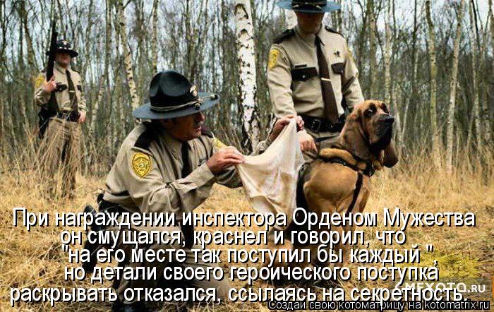 раскрывать отказался, ссылаясь на секретность. но детали своего героического поступка "на его месте т... Котоматрица: раскрывать отказался, ссылаясь на секретность. но детали своего героического поступка "на его месте так поступил бы каждый ", он смущался, к?