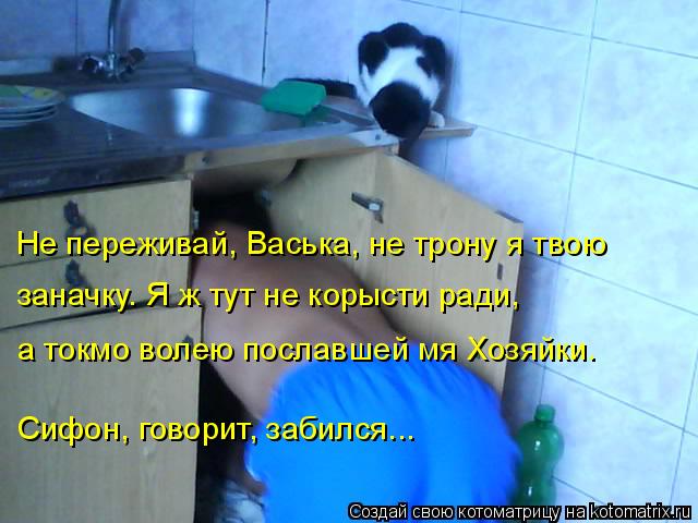 Не переживай, Васька, не трону я твою заначку. Я ж тут не корысти ради, а токмо волею пославшей мя Х... Котоматрица: Не переживай, Васька, не трону я твою заначку. Я ж тут не корысти ради, а токмо волею пославшей мя Хозяйки. Сифон, говорит, забился...