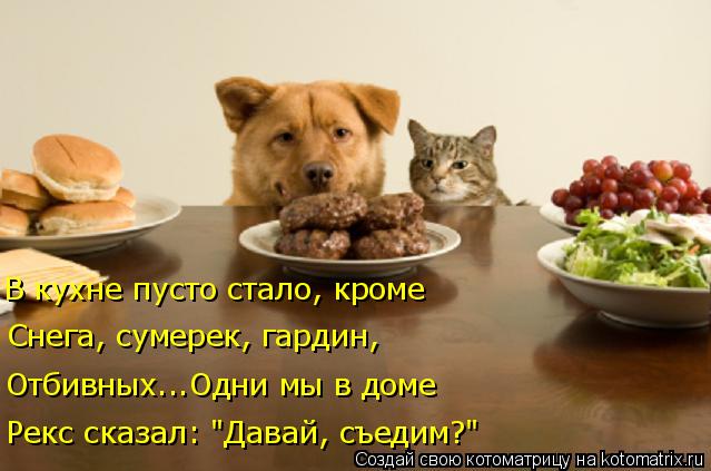 Котоматрица: Рекс сказал: "Давай, съедим?" Отбивных...Одни мы в доме Снега, сумерек, гардин,  В кухне пусто стало, кроме