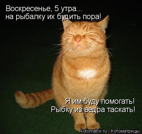 Котоматрица: Воскресенье, 5 утра... на рыбалку их будить пора! Я им буду помогать! Рыбку из ведра таскать!