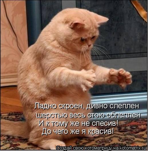 Ладно скроен, дивно слеплен шерстью весь стою облеплен И к тому же не спесив! До чего же я красив!... Котоматрица: Ладно скроен, дивно слеплен шерстью весь стою облеплен И к тому же не спесив! До чего же я красив!