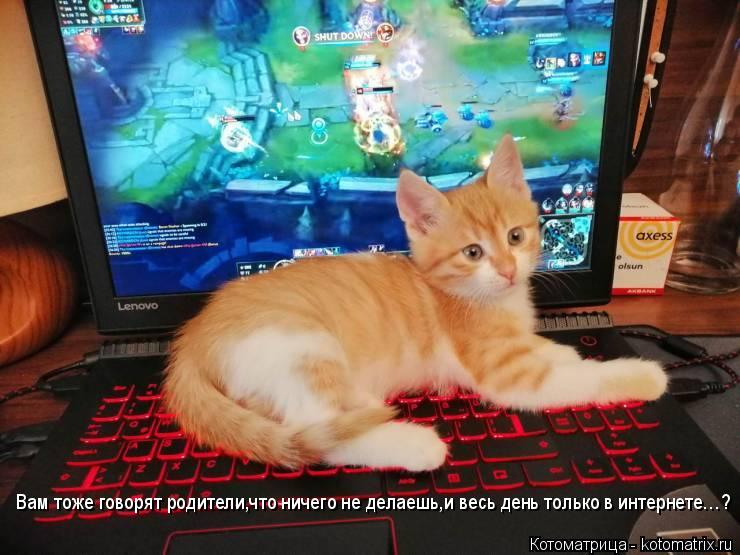 Котоматрица: Вам тоже говорят родители,что ничего не делаешь,и весь день только в интернете…?
